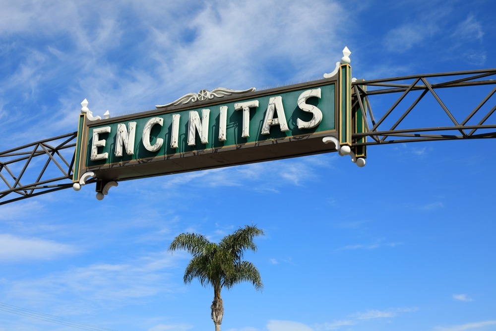 Business Umbrella Insurance for Growing Companies in Encinitas, CA