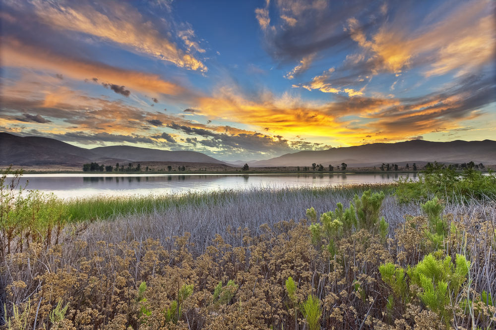 Commercial Auto Insurance for Businesses in Otay Ranch, CA